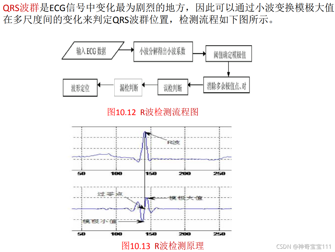 第10章生物医学信号小波分析_小波分析生物医学-CSDN博客