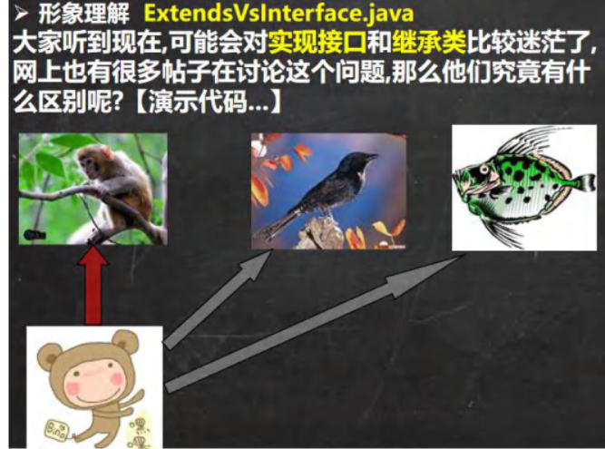 image-20231018221109954