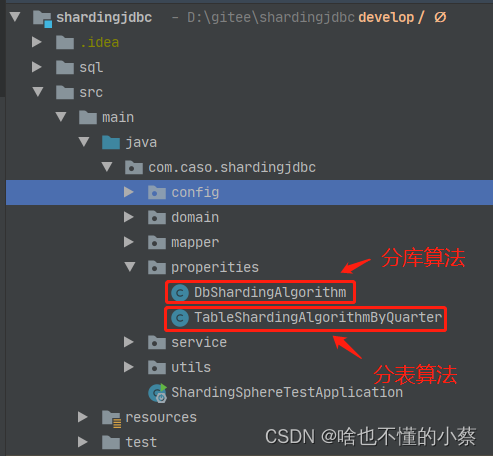 分片算法策略类