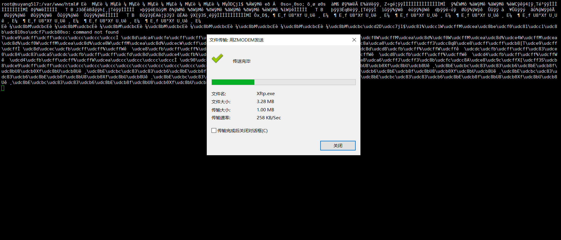 image-20211212073802133