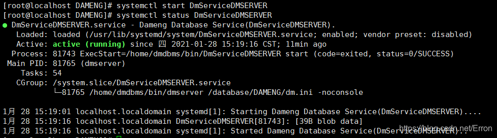 查看状态启动成功