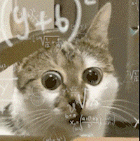 11cdcea29bfe87d114c24f34e2ec32bb.gif