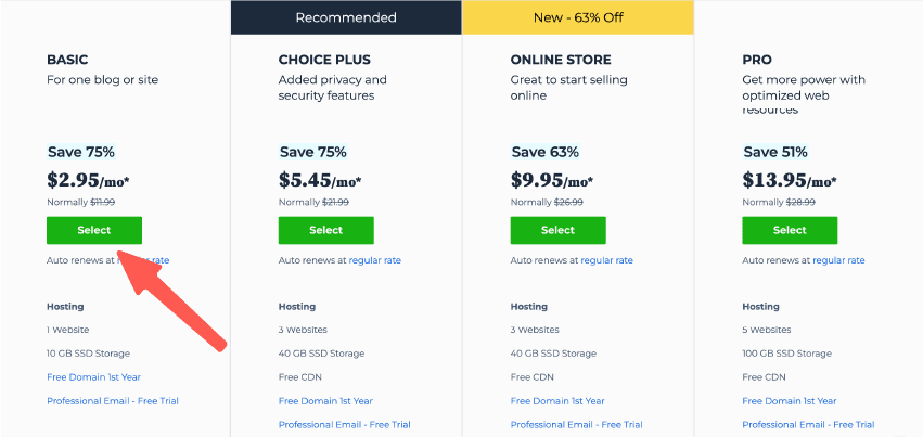 Bluehost主机：选择基本入门方案功能