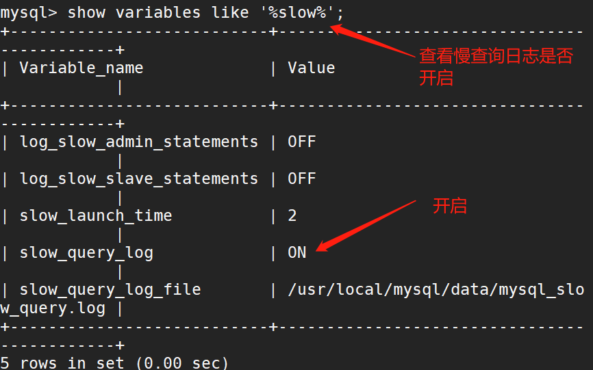 image-20220810151021869