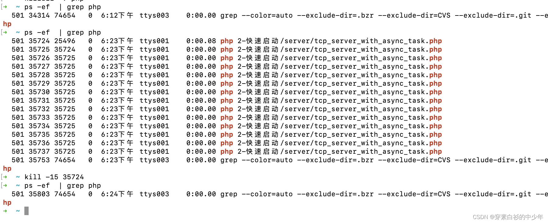 Swol Programmer Swoole系列(2) - 快速启动_swoole启动服务-CSDN博客