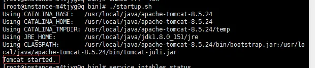 启动Tomcat