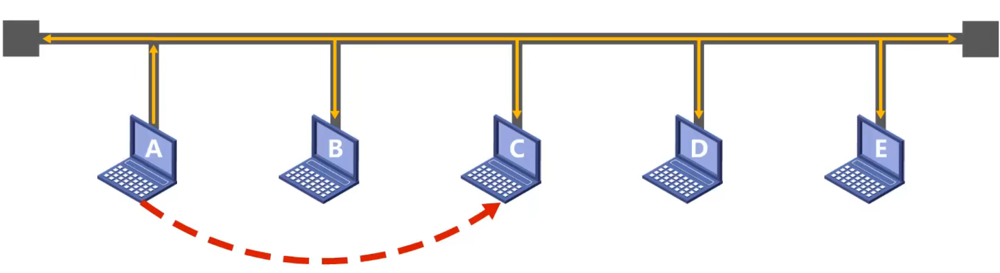 image-20220301090422829