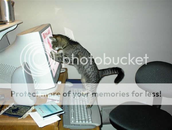 点击在新窗口中查看该图片