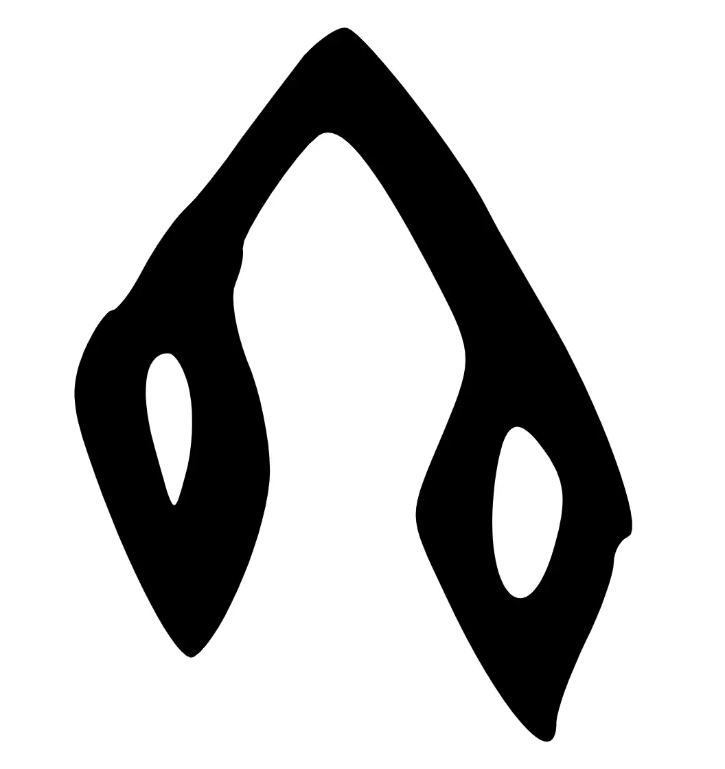 冬