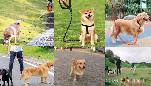 毕业设计:基于深度学习的遛狗牵绳检测系统 人工智能 python