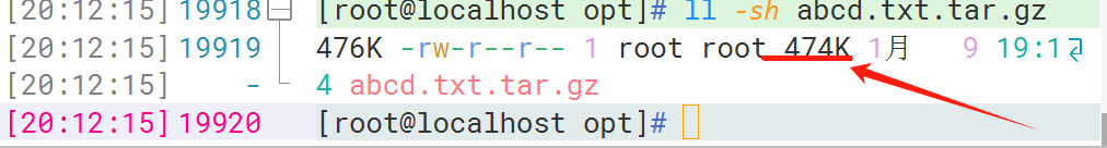 image-20240109201316082