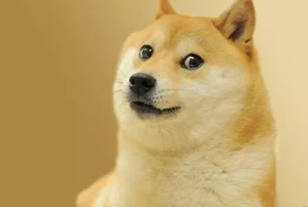 doge 手动狗头 640?wx_fmt=jpeg