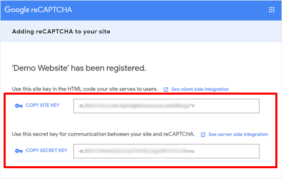 Google reCAPTCHA API Keys