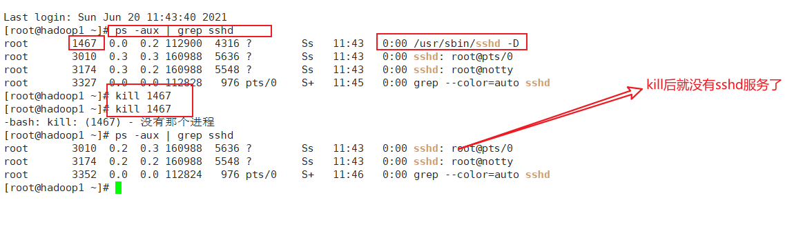 image-20210620114833970