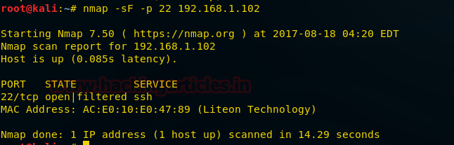 Wireshark如何捕获网络流量数据包