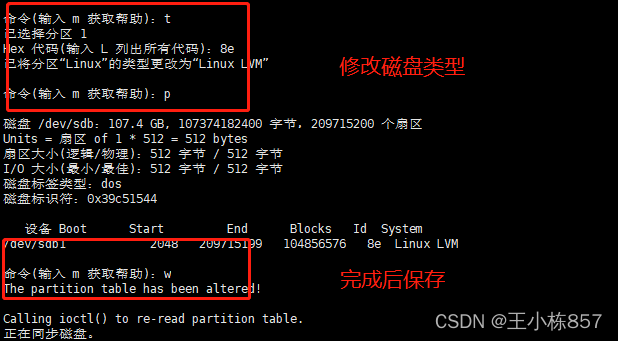 Linux系统磁盘扩容步骤详解-CSDN博客