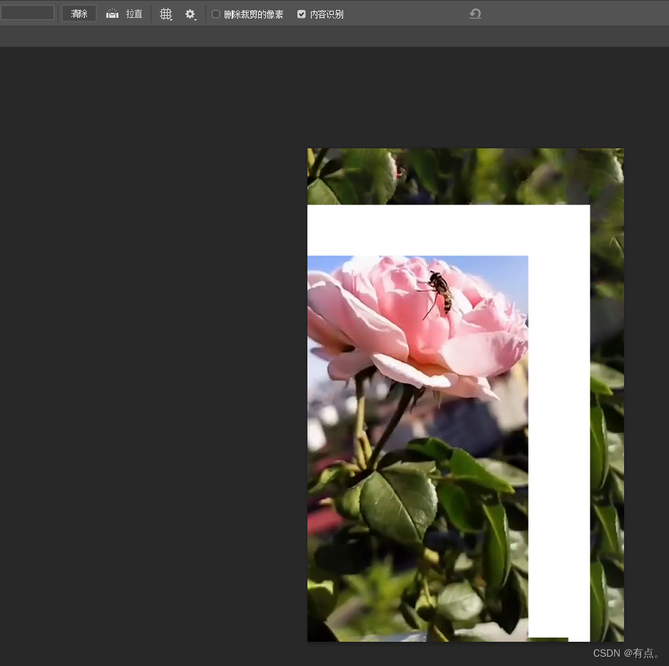 PS系统教程06-图片裁剪-详细版插图7 在这里插入图片描述