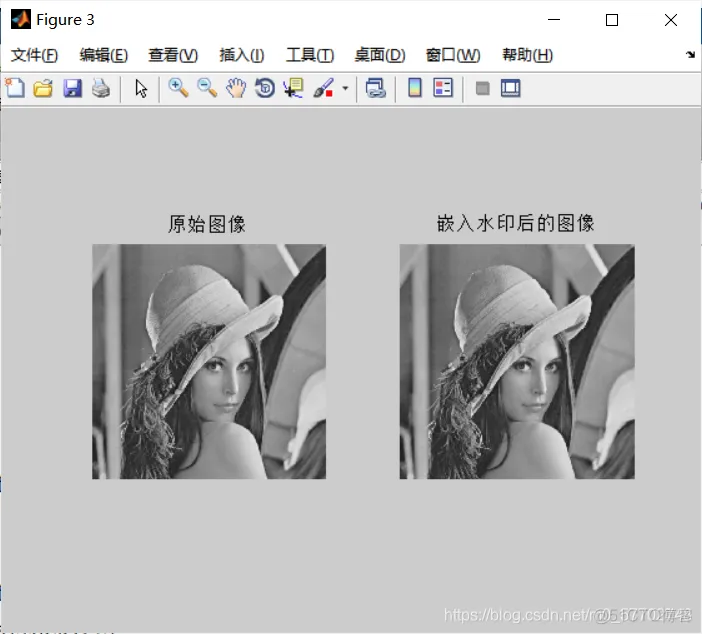【图像隐藏】基于DCT(离散余弦变换)与SVD(奇异值分解)域实现自适应嵌入水印_matlab_04