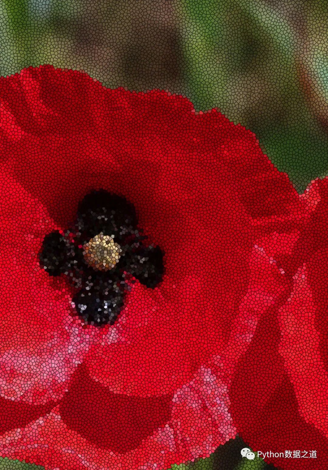 244633b32cdb12e3c72fa992a3a31e6d.png