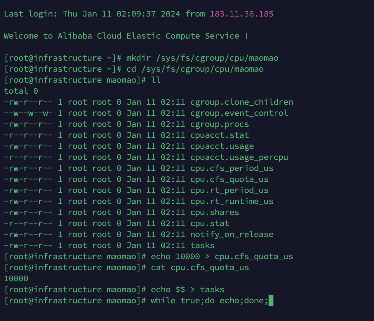 image-20240111021209053