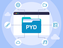 详解Python文件： .py、.ipynb、.pyi、.pyc、 .pyd ！_pyi文件-CSDN博客