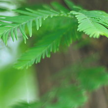 fe9e66cde622dc9416b3950d467c6e84.png