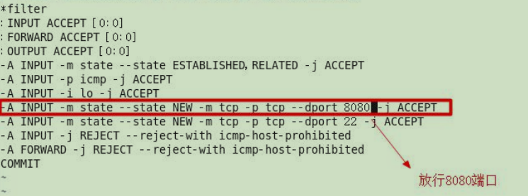 image-20210310114030125