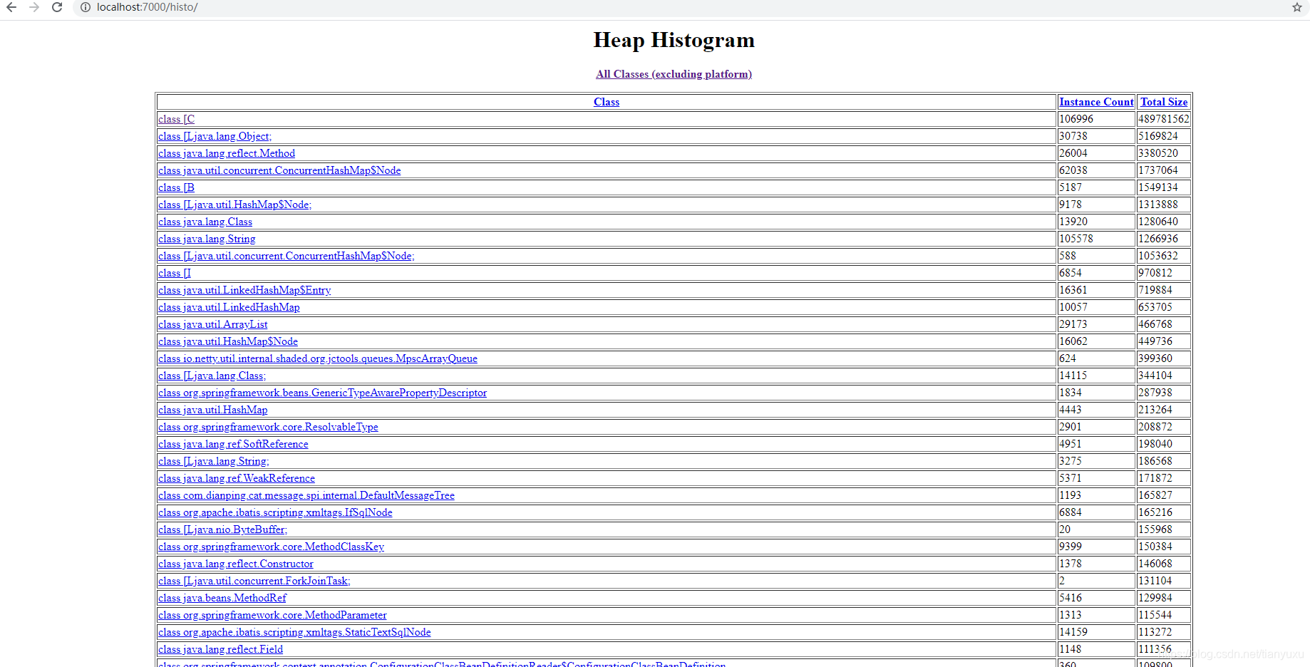 Heap Histogram