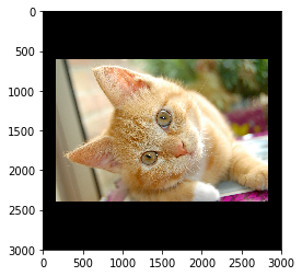 img_2f31b27280b446b9846a8ef91dbb6cf1.png