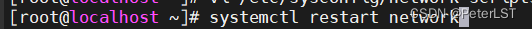 输入指令重启网络服务