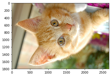 img_863420b608feebf990640625e6dc7108.png