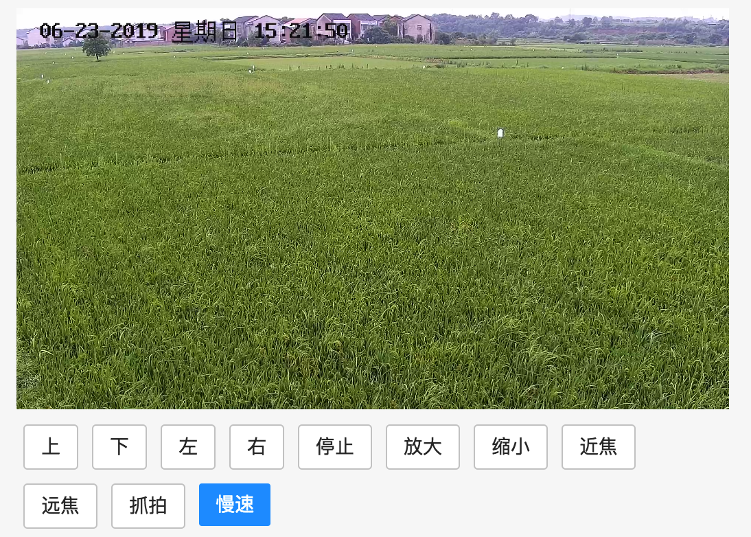 image-20190623150754859