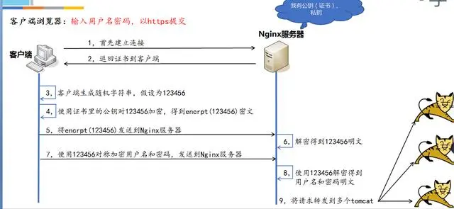 13638982-5c40be5b44ec34a0