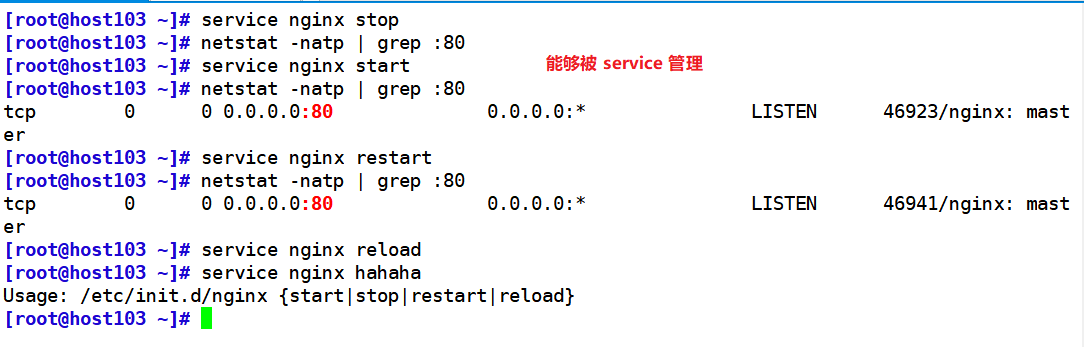 image-20210812212128727