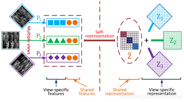 basic framework of the proposed DSS-MSC approach