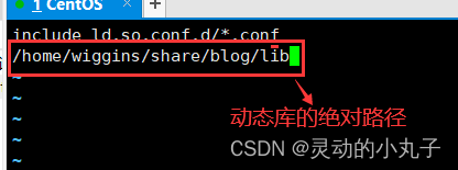 动态库绝对路径