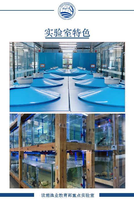 42cf2445cdcb8702c0787e305ed0453d.png