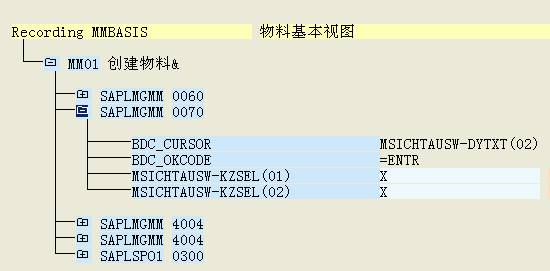 LSMW批处理使用方法(5)_步骤3下