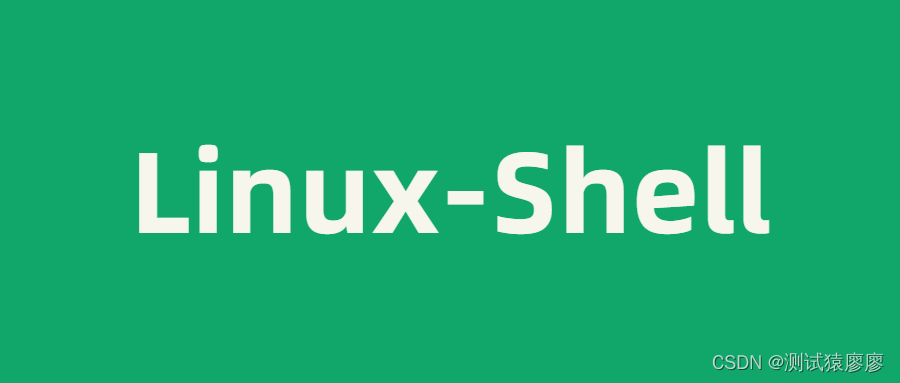 Linux Shell脚本入门到实战详解_linux中,if [ -d $dir]是什么意思-CSDN博客