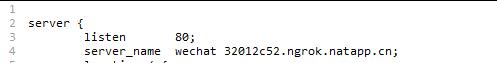 nginx.jpg