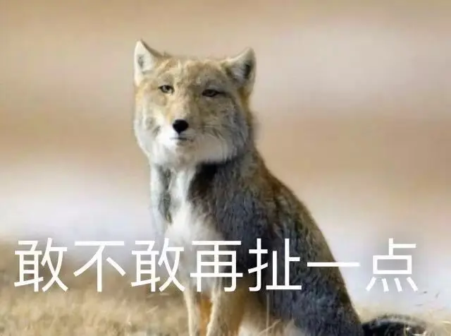 4223712-26407f934deb64db.jpeg