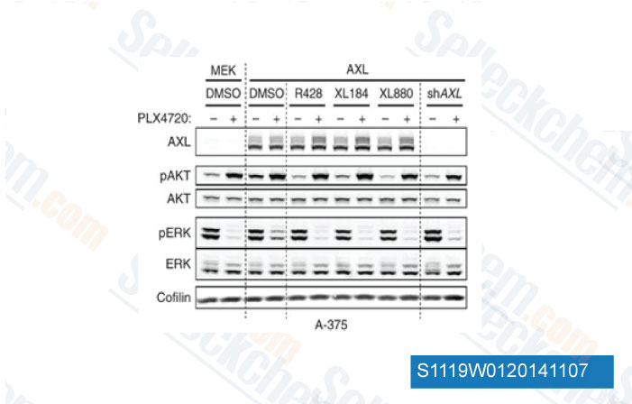 70d01d8f491a483e79be61fa7737222a.gif