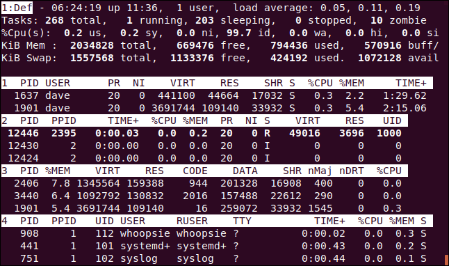 top with the alternative display activated in a terminal window.