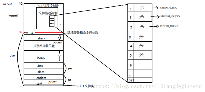 关于可执行文件./a.out的内存布局