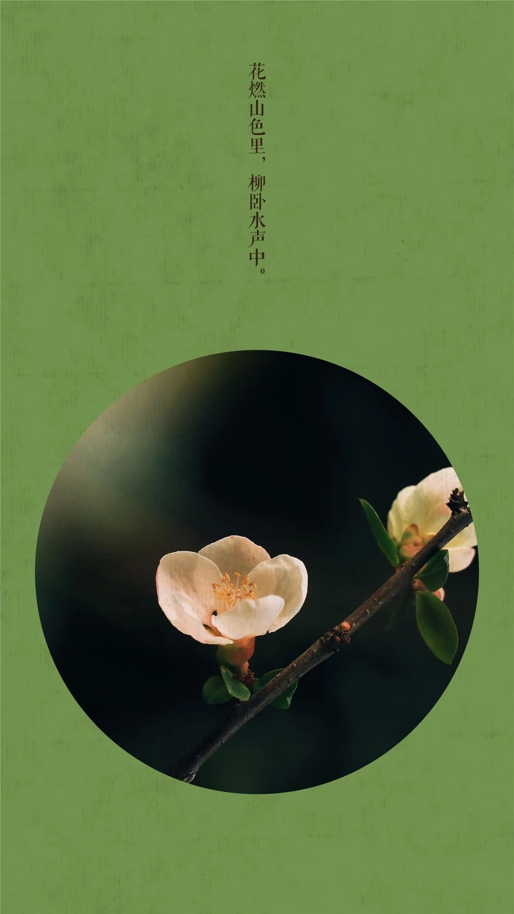 a60548b6c6c6449ac84cb4fc26784082.png