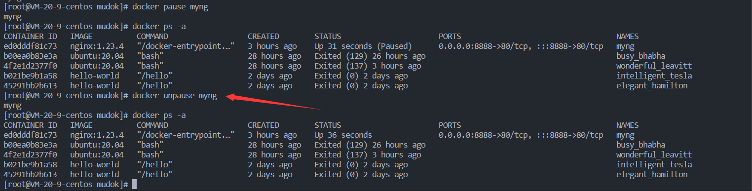 Docker 使用基础（3）—容器_docker --cpus