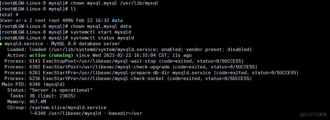 mysql启动报错排查_mysql_05