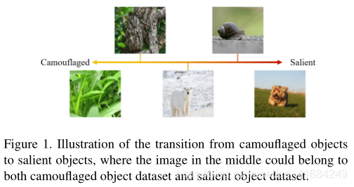Uncertainty-aware Joint Salient Object and Camouflaged Object Detection ...