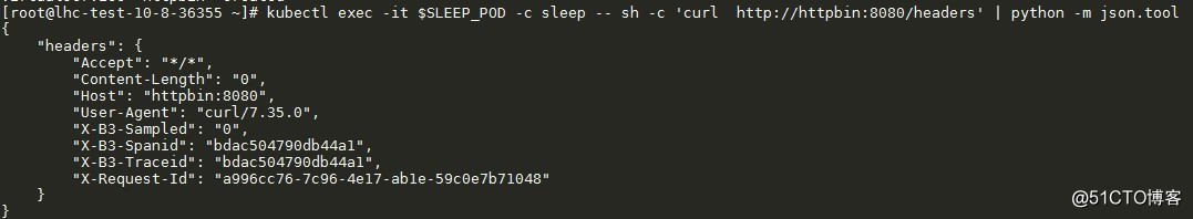 idou老师教你学Istio12 : Istio 实现流量镜像