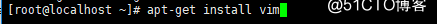 docker容器中没有vi